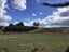 0 McIntyre Road, Kawakawa, Kawakawa - Carousel 11