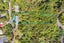 26 Avian Crescent, Blue Mountains, Upper Hutt - Carousel 31