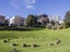 3E/14 Exmouth Street, Eden Terrace, Auckland - Carousel 19