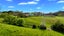 940 Leigh Road, Warkworth - Carousel 32