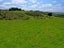 304B Pigeon Flat Road, Mount Cargill, Waitati - Carousel 9