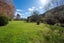 632 Palmerston-Dunback Road, Glenpark, Palmerston - Carousel 14