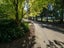 196 Chapman Road, Earnscleugh, Alexandra - Carousel 1