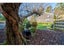 100 Oak Street, Orari - Carousel 18