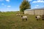 1561 Whirinaki Valley Road, Rotorua - Carousel 24