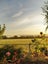 118 Blackman Road, Blackmans, Alexandra - Carousel 6