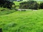291 Ulysses Road, Ashhurst, Palmerston North - Carousel 2