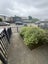 4 Doreen Williams Way, Glen Innes, Auckland - Carousel 3