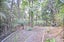 585 South Titirangi Road, Titirangi, Auckland - Carousel 4