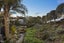 4 Rangitoto View Road, Cockle Bay, Auckland - Carousel 17