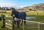 50 Driver Street, Long Beach, Port Chalmers - Carousel 18