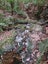 41 Pinehill Road, Pakaraka, Kaikohe - Carousel 12