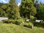 217 Soldiers Road, Lower Kaimai, Tauranga - Carousel 31