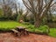 1116 Leeston Road, Leeston, Leeston - Carousel 17