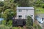 421 Ohiro Road, Brooklyn, Wellington - Carousel 2