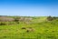 3050 Kaipara Coast Highway, Glorit, Warkworth - Carousel 27