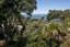 2A Kauri Point Road, Laingholm, Auckland - Carousel 2