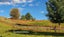1344 State Highway 12, Oue, Kaikohe - Carousel 12
