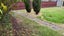 12 Anthony Crescent, Bader, Hamilton - Carousel 3