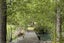 39 SUNNYSIDE RD, coatesville, Albany - Carousel 23