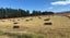 151 Loburn Terrace Road, Loburn, Rangiora - Carousel 4