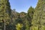 200 Godley Road, Titirangi, Auckland - Carousel 30