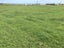 396 Cape Road, Opunake - Carousel 9