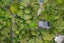 18 Paturoa Road, Titirangi, Auckland - Carousel 30
