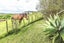 64 Parkdale Drive, Aramoho, Whanganui - Carousel 33