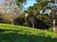 800 Bickerstaffe Road, Maungaturoto - Carousel 14