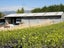 67 Busby Road, Katikati, Katikati - Carousel 3