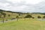 967 PIPIWAI RD, Ruatangata West, WHANGAREI - Carousel 20