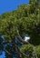 17 Te Mu Road, Lake Tarawera, Rotorua - Carousel 4