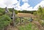 0 Dip Road, Kaeo, Kaeo - Carousel 16