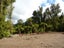 35 Mokihinui Preserve, Seddonville, Westport - Carousel 19