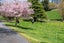 1211 Waikite Valley Road, Waikite Valley, Rotorua - Carousel 5