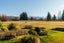 140A Lyford Lane, Twizel - Carousel 14