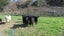 3957 Northbank Road, North Bank, Wairau Valley - Carousel 3