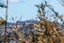 7/66 Astley Avenue, New Lynn, Auckland - Carousel 8
