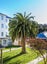 B7/13 Palm Grove, Berhampore, Wellington - Carousel 9