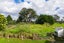 243 Pataua Road, PATAUA SOUTH, ONERAHI - Carousel 14