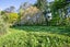 0 Norsewood Ormondville Rd, Norsewood - Carousel 6