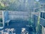9/19 Ruakiwi Road, Hamilton Lake, Hamilton - Carousel 15
