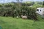 77 Worsp Road, Pipiwai, Whangarei - Carousel 22