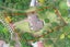 2 Raukawa Grove, Waiuku, Waiuku - Carousel 3