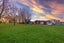 16 Torbeg Lane, Broomfield, Christchurch - Carousel 2