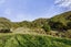 8 Mount Cecil Road, Moonshine Valley, Upper Hutt - Carousel 29