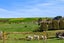 197 Bridge Street, Eltham, South Taranaki, Taranaki - Carousel 20