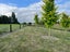 28 Farmstead Lane, Huntingdon, Ashburton - Carousel 9