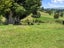 418 Parklands Road, Rotoorangi, Te Awamutu - Carousel 27
